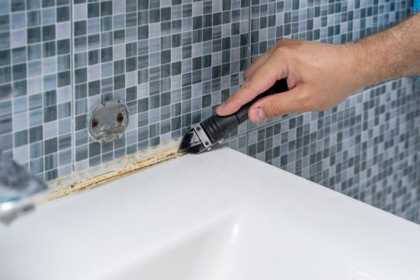 Best Post-Flood Mold Remediation in Swissvale, PA